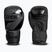 Bokszkesztyűk StormCloud Lynx 2.0 black/black