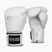 Bokszkesztyűk StormCloud Muay Thai Blizzard 2.0 white/silver