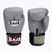 RAJA BOXING Single Standard valódi bőr szürke bokszkesztyű