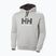 Férfi pulóver  Helly Hansen HH Logo Hoodie grey/melange