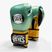 Boxkesztyű Cleto Reyes Velcro Sparring metalic green/gold wbc