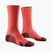 Férfi zokni X-Socks Trailrun Discover Crew fluo red/namib red