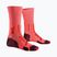 Férfi zokni X-Socks Trailrun Perform Crew fluo red/namib red