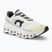 Férfi futócipő On Cloudmonster undyed-white/white
