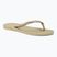 Havaianas Slim sand grey / light golden női flip-flop papucs