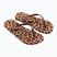 Női flip-flop papucsok Ipanema Animal Print beige/bronze/bronze