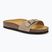Női papucs Scholl Estelle Sue dark beige