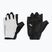 Férfi kerékpáros kesztyűk Northwave Active Max Short Finger light grey