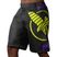 Hayabusa Icon Fight MMA rövidnadrág fekete-sárga ICFS-BK-L