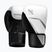 Bokszkesztyűk Hayabusa E1 Boxing white/silver
