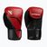 Bokszkesztyűk Hayabusa E1 Boxing red/black