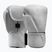 Bokszkesztyűk Hayabusa T360 Leather white
