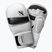 Hayabusa T3 Hybrid fehér/fekete grappling kesztyű