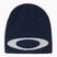 Téli sapka Oakley Ellipse Beanie abyss