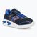 Junior cipő Geox Assister blue/royal