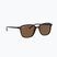 Napszemüveg Ray-Ban Leonard tortoise/brown polarized