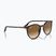 Napszemüveg Ray-Ban RB2204 havana/light brown