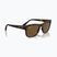 Napszemüveg Ray-Ban RB4428 havana matte/brown polarized