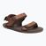 Férfi mezítlábas szandál Xero Shoes D-Trail kakaó barna/java barna