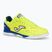 Férfi futballcipő Joma Top Flex Rebound IN yellow/royal