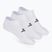 Férfi zokni SKECHERS Microfiber Non Terry No Show 3 pár white hagyományos