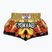 Férfi edzőshort YOKKAO Tiger Family Muay Thai gold