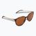 Oakley Sielo polírozott barna teknőc/prizm bronz polár napszemüveg