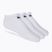 Nike Everyday Lightweight No Show 3pak edzőzokni fehér SX7678-100 SX7678-100