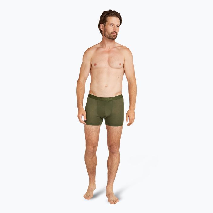 Férfi thermo boxeralsó jégtörő Merino 125 Cool-Lite Anatomica loden loden 3