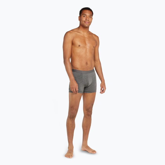 Férfi termikus boxeralsó icebreaker Merino 125 Cool-Lite Anatomica gritstone heather 3