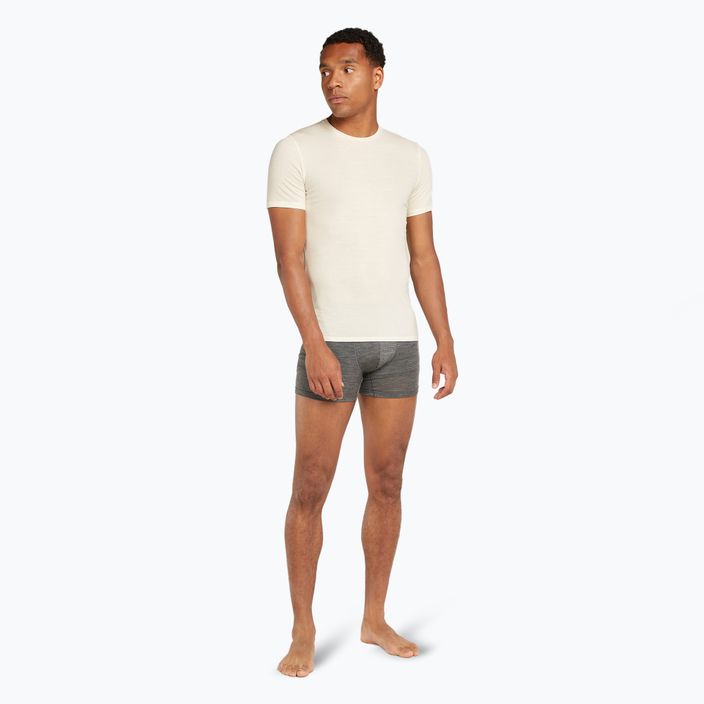 Férfi termikus boxeralsó icebreaker Merino 125 Cool-Lite Anatomica gritstone heather 5