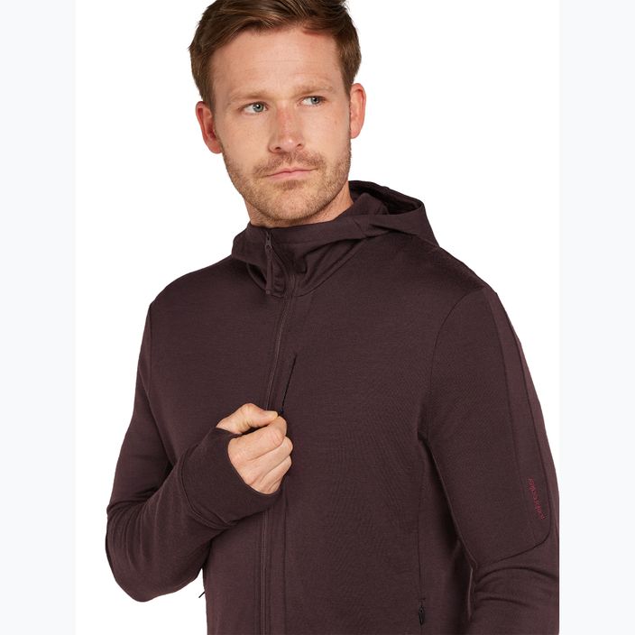 Férfi Icebreaker Merino 260 Quantum IV Zip Hoodie keserédes 5