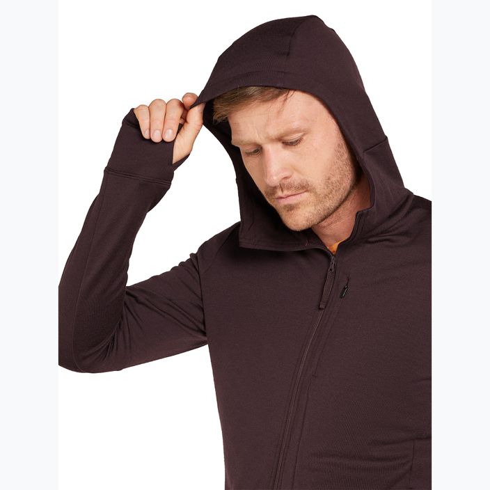 Férfi Icebreaker Merino 260 Quantum IV Zip Hoodie keserédes 6