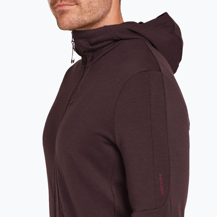 Férfi Icebreaker Merino 260 Quantum IV Zip Hoodie keserédes 8