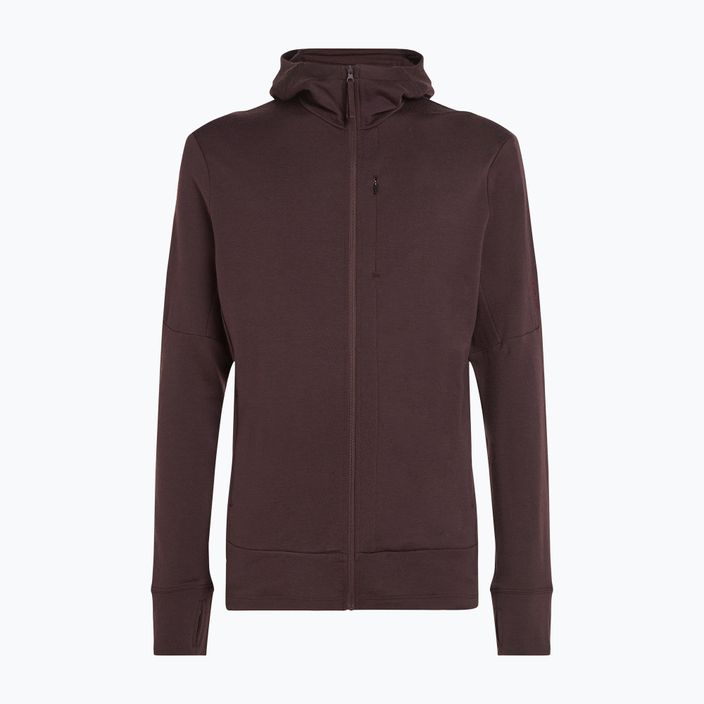 Férfi Icebreaker Merino 260 Quantum IV Zip Hoodie keserédes 11