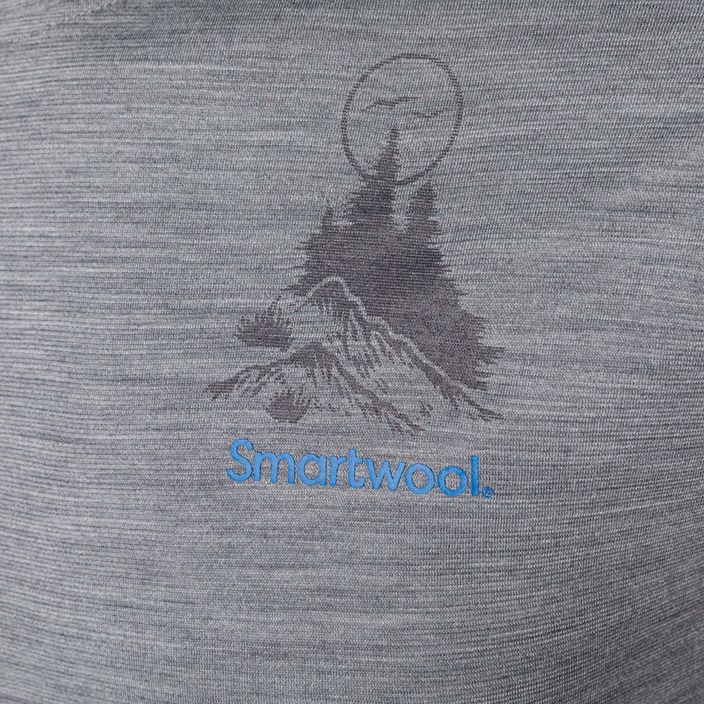 Férfi Smartwool Wilderness Summit Graphic Tee trekking póló világosszürke 16673 6