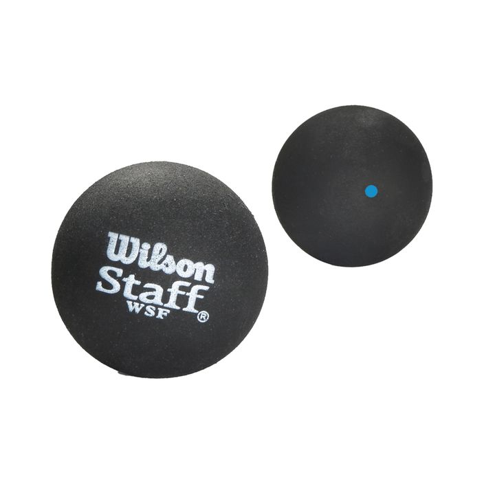 Wilson Squash Staff Squash 2 Ball Bl Dot fekete WRT617500+ 2