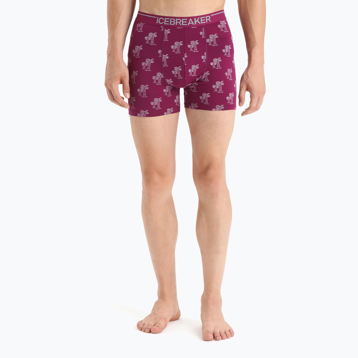 Férfi thermo boxeralsó jégtörő Anatomica Go Berry 103029 4