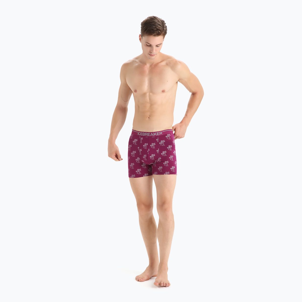 Férfi thermo boxeralsó jégtörő Anatomica Go Berry 103029 5