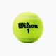 Wilson Champ Xd Tball szett 3 db sárga WRT100101 2