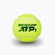 Teniszlabda készlet 4 db. Dunlop Atp 4B sárga 601314 3