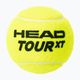 Teniszlabda készlet 4db. HEAD Tour Xt 4B sárga 570824 2
