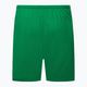 Férfi Nike Dry-Fit Park III futballnadrág zöld BV6855-302 2