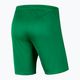 Nike Dry-Fit Park III gyermek futball rövidnadrág zöld BV6865-302 2