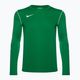 Férfi Nike Dri-FIT Park 20 Crew fenyő zöld/fehér hosszú ujjú futballcipő