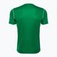 Férfi Nike Dri-Fit Park 20 fenyő zöld/fehér labdarúgó mez 2
