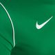 Férfi Nike Dri-Fit Park 20 fenyő zöld/fehér labdarúgó mez 3