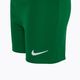 Nike Dri-FIT Park Little Kids labdarúgó szett fenyő zöld/tölgy zöld/fehér 5