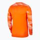 Férfi Nike Dri-Fit Park IV labdarúgó melegítő narancssárga CJ6066-819 2