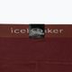 Icebreaker női termónadrág 200 Oasis barna IB1043830641 10